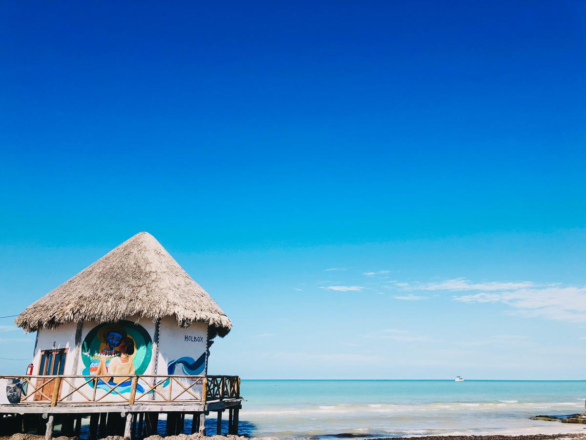 DÍA LIBRE EN HOLBOX